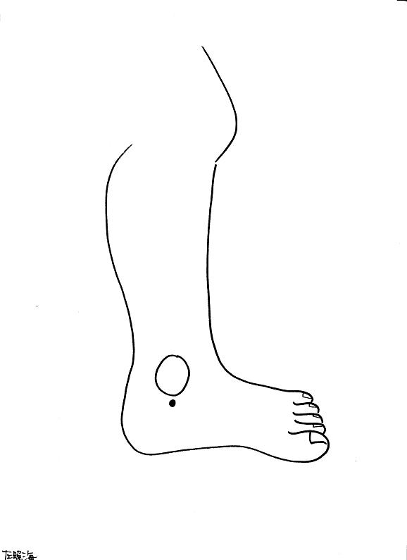 �ƊC���̃C���X�g